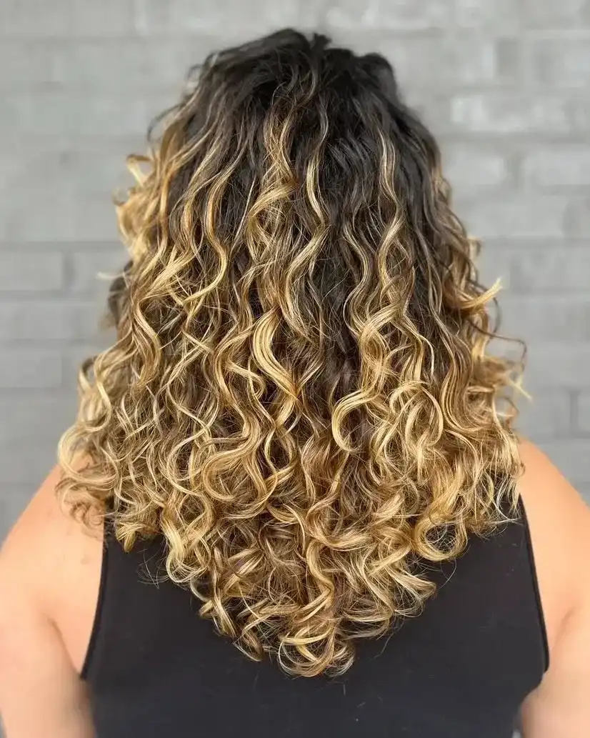 Curly hair with blonde highlights against a gray brick background.